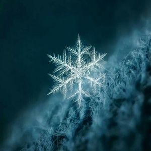 🌬WHISPERS OF WINTER